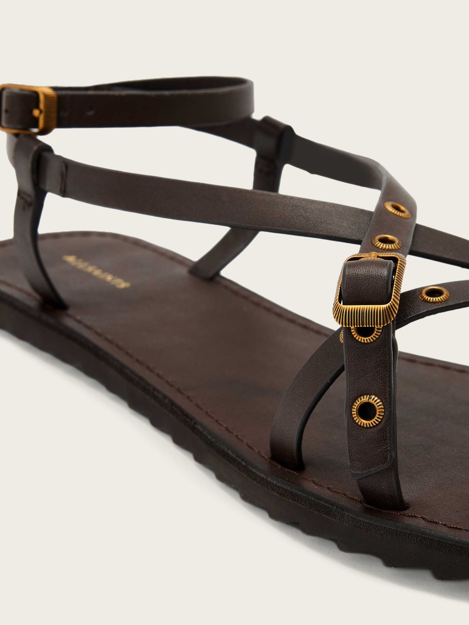 Buy AllSaints Brown Tyla Eyelet Sandals from Next USA