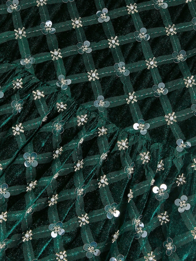 Monsoon Green Gracie Embellished Velvet Party Dress - Image 4 of 4 Monsoon Green Gracie Embellished Velvet Party Dress - Image 4 of 4