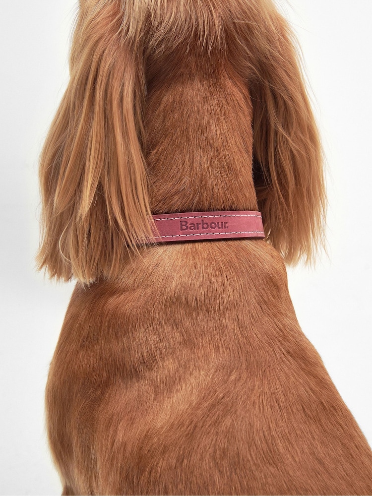 Barbour® International Pink Leather Dog Belt - Image 2 of 4 Barbour® International Pink Leather Dog Belt - Image 2 of 4