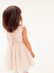 Pink Mesh Party Dress (3mths-8yrs) - Image 2 of 6