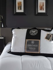 The Lyndon Company TLC Duck Down Pillows - Image 1 of 1