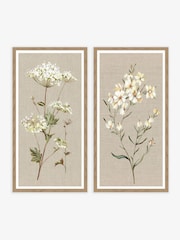 Artko Set of 2 Linen Cow Paisley & Daises Nicola Rowles Framed Arts - Image 2 of 3