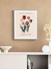 Artko Cream Tulip by Christopher Giampietro Framed Art - Image 1 of 3