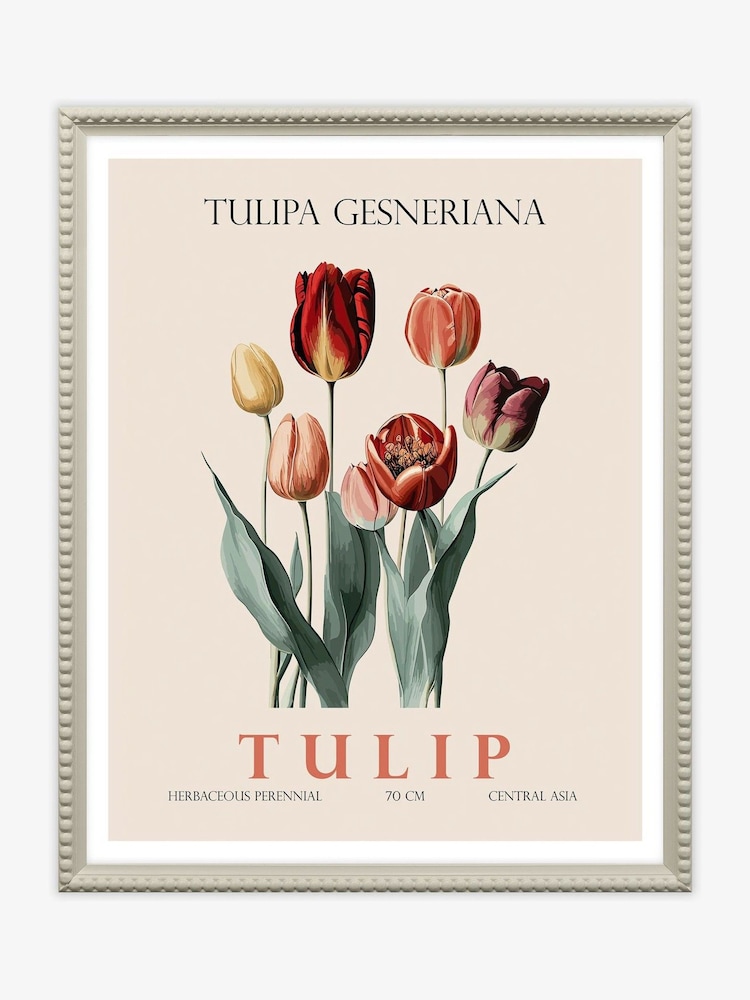 Artko Cream Tulip by Christopher Giampietro Framed Art - Image 2 of 3 Artko Cream Tulip by Christopher Giampietro Framed Art - Image 2 of 3