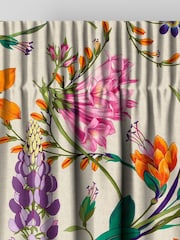 Graham & Brown Vivant Botanists Scroll Made to Measure Curtains - Image 3 of 8