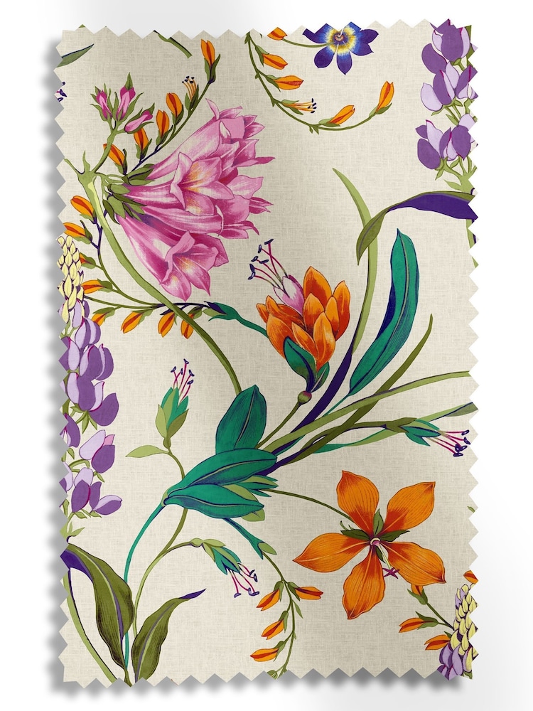 Graham & Brown Vivant Botanists Scroll Made to Measure Curtains - Image 8 of 8 Graham & Brown Vivant Botanists Scroll Made to Measure Curtains - Image 8 of 8