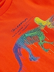 Multi Dino Regular Fit Graphic Short Sleeve 100% Cotton T-Shirts 3 Pack (3-14yrs) - Image 8 of 8