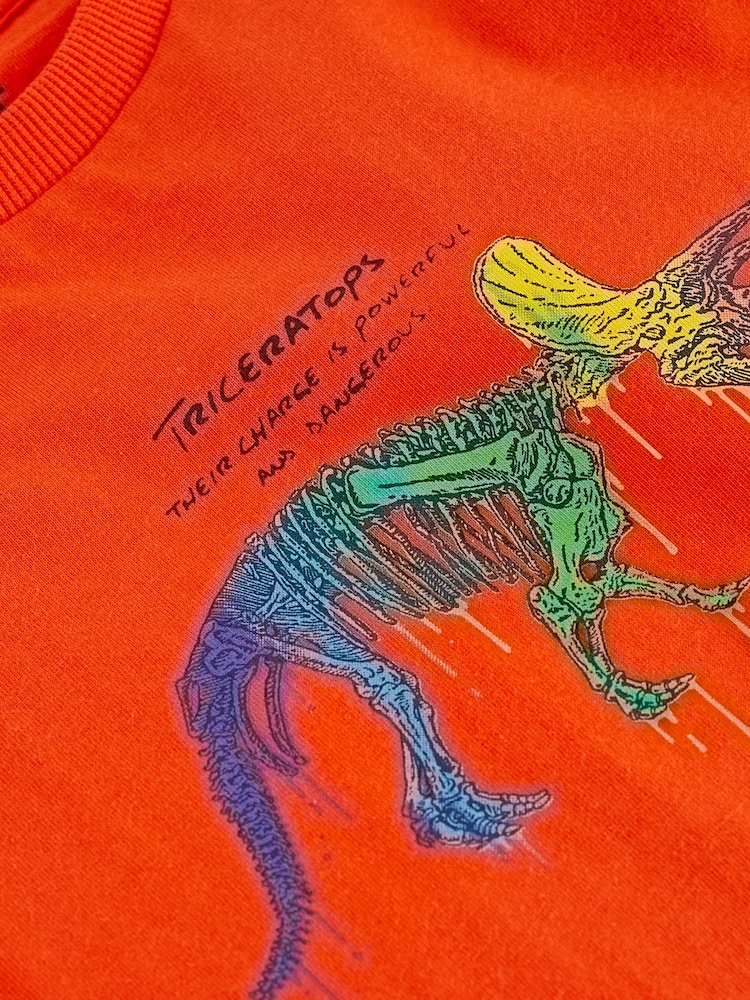 Multi Dino Regular Fit Graphic Short Sleeve 100% Cotton T-Shirts 3 Pack (3-14yrs) - Image 8 of 8