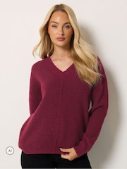 Rouge - Pull M&Co à Col V et couture sur le devant - Image 1 de 6