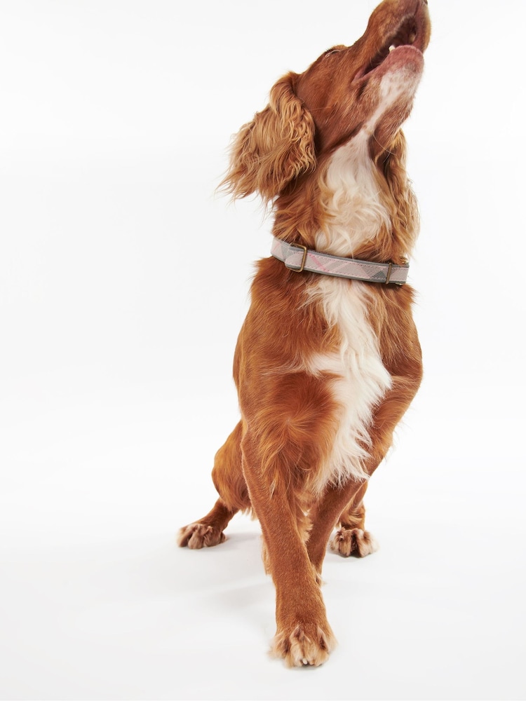 Barbour® Pink Reflective Tartan Dog Collar - Image 2 of 6