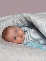 The Little Tailor Blue - Image 10 of 12