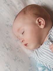The Little Tailor Blue - Image 8 of 12