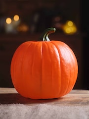 Lights4fun Orange Animated Talking Pumpkin Light Up Halloween Decoration - Image 3 of 3