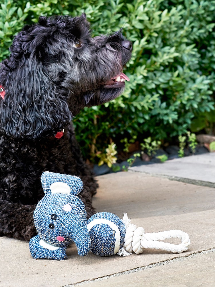 Elephant Dog Toy - Image 1 of 2 Elephant Dog Toy - Image 1 of 2
