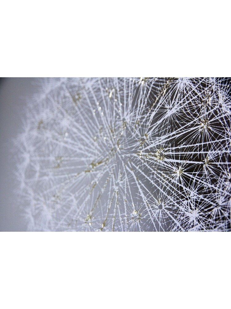 Arthouse Natural 3D Dandelion Print Mirror - Image 3 of 3