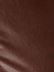 Adrianna Papell Brown Leather Zip Front Dress - Image 6 of 6