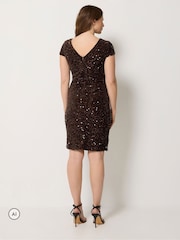 M&Co Brown Sequin Velvet Shift Dress - Image 3 of 6