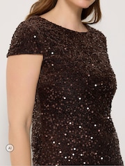 M&Co Brown Sequin Velvet Shift Dress - Image 4 of 6