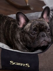 Scruffs® Grey Extra Large Breed Dog Chester Box Bed - Image 1 of 3