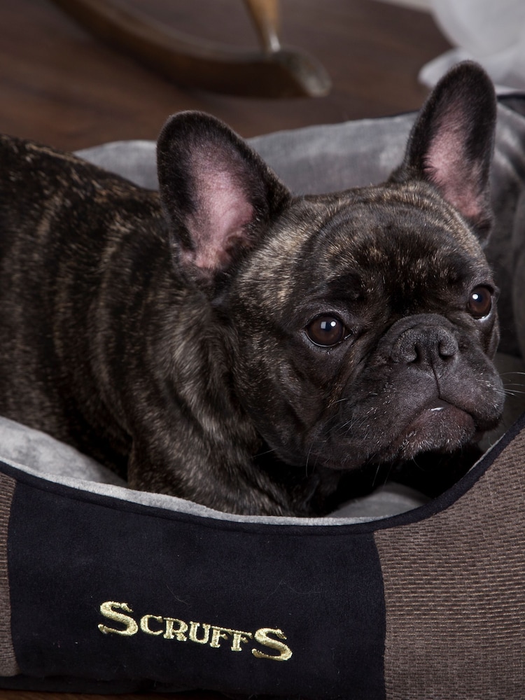 Scruffs® Grey Extra Large Breed Dog Chester Box Bed - Image 1 of 3