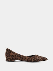 Long Tall Sally Leopard Pointed Ballerina Pumps - Bild 1 von 4
