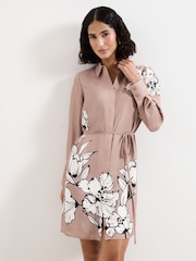 Phase Eight Brown Kendra Dress - Image 1 of 6
