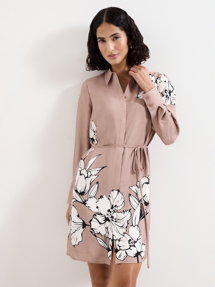 Phase Eight Brown Kendra Dress - Image 1 of 6 Phase Eight Brown Kendra Dress - Image 1 of 6
