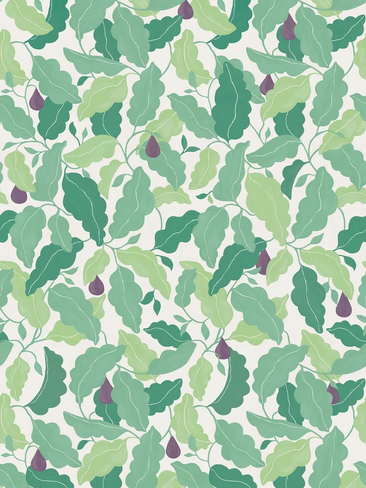 Scion Fig/Forest Pomona Fig 13.5M Wallpaper - Image 4 of 4