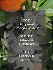 Jasmine & Orange Blossom Collection Luxe New York 3 Wick Scented Candle - Image 2 of 4