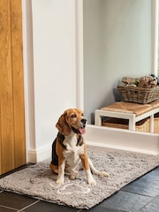 Bunty Grey Microfibre Pet Mat - Image 1 of 4