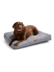 Silentnight Grey Ultrabounce Pet Bed - Image 1 of 4