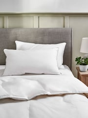Set of 2 Firm 100% Cotton Duck Feather And Down Pillows - Image 1 of 5