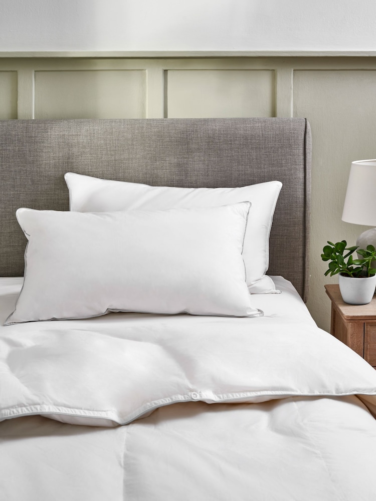 Set of 2 Firm 100% Cotton Duck Feather And Down Pillows - Image 1 of 5