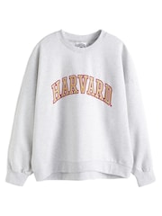 Grey License Harvard University Graphic Collegiate Varsity Slogan Sweatshirt - Image 6 of 7