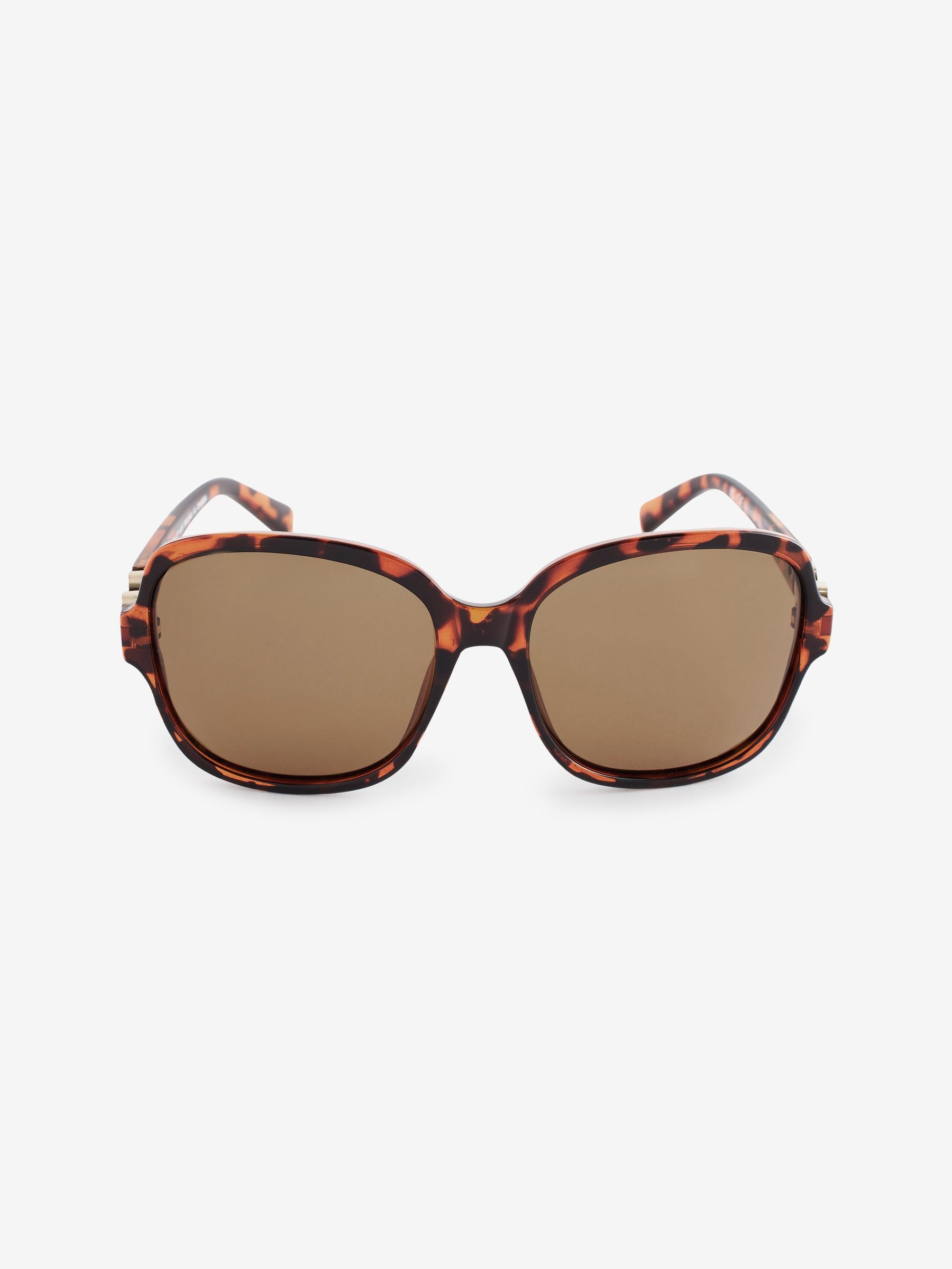 SEA sunglasses BROWN 2025年モデル SEA sunglasses BROWN 2025年モデル