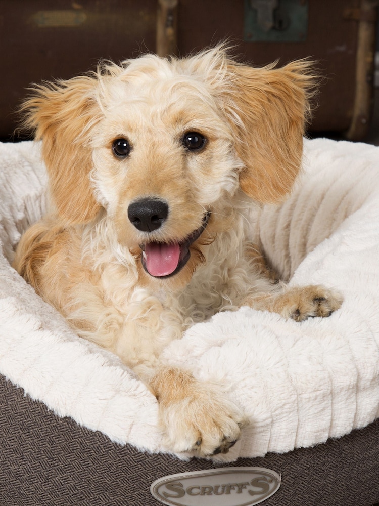 Scruffs® Grey Medium Breed Dog Ellen Bed - Image 1 of 1