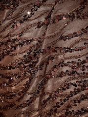 Lipsy Chocolate Brown Off The Shoulder Gathered Waist Maxi Dress - Image 6 of 6