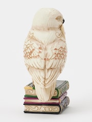 Harry Potter Multicolour Hedwig Mini - Image 4 of 5