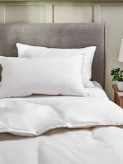 Set of 2 Medium 100% Cotton Duck Feather And Down Pillows - Image 1 of 5
