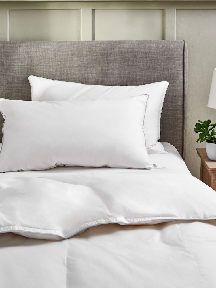 Set of 2 Medium 100% Cotton Duck Feather And Down Pillows - Image 1 of 5