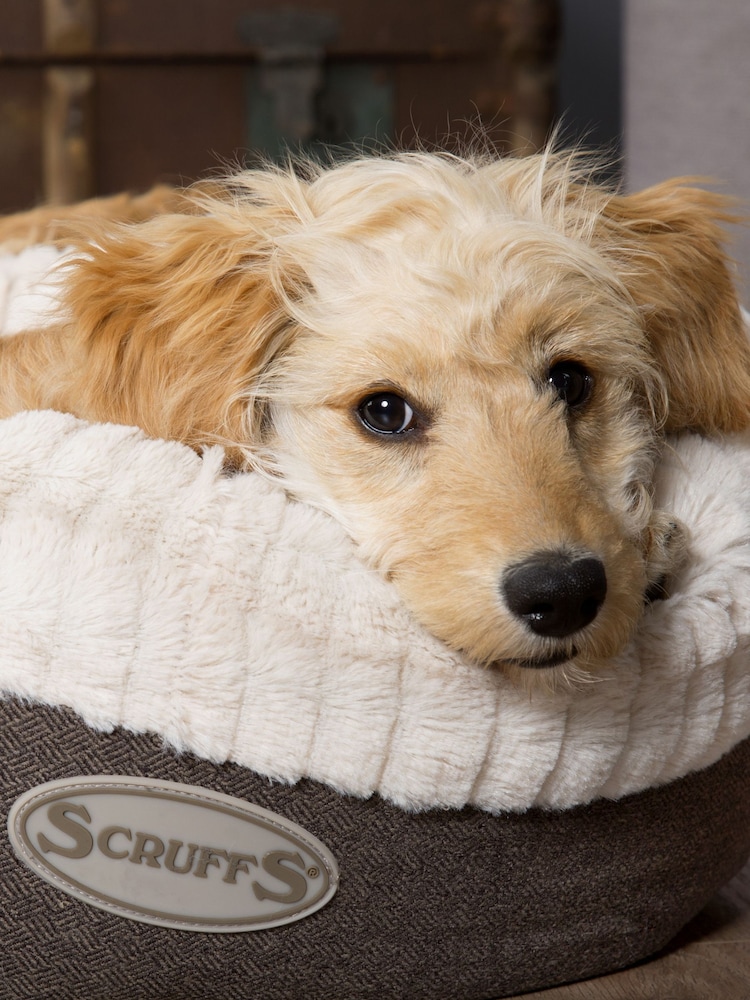 Scruffs® Grey Extra Large Breed Dog Ellen Bed - Image 1 of 4