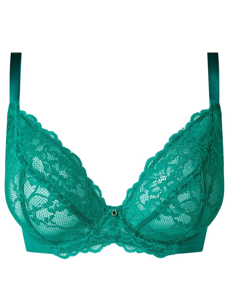Ann Summers Mid Green DD+ Non Pad Plunge Padded Wired Sexy Lace Bra - Image 5 of 5 Ann Summers Mid Green DD+ Non Pad Plunge Padded Wired Sexy Lace Bra - Image 5 of 5