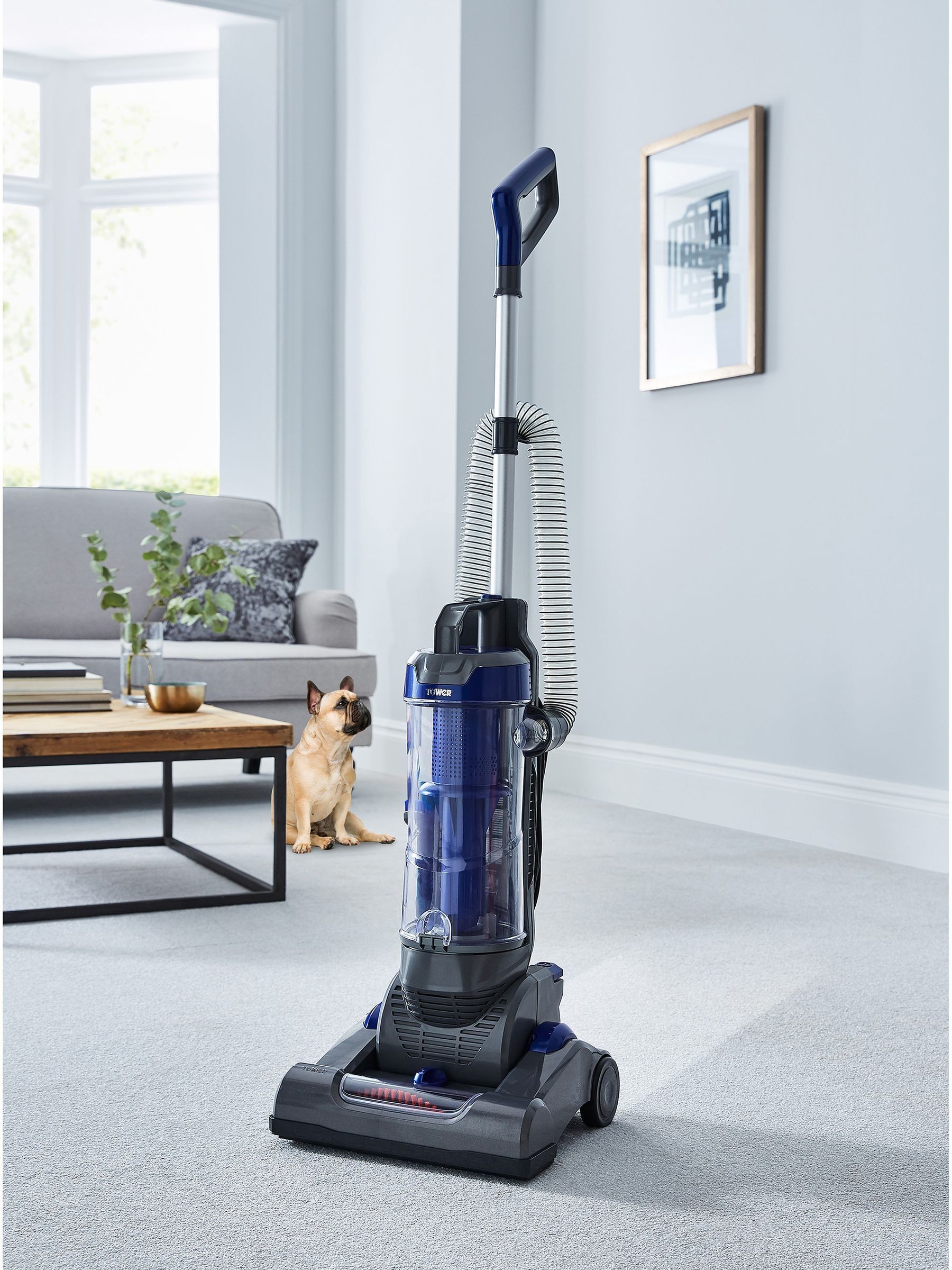 Buy Tower Blue Bagless Pet Upright Vacuum Cleaner from the Next UK online shop