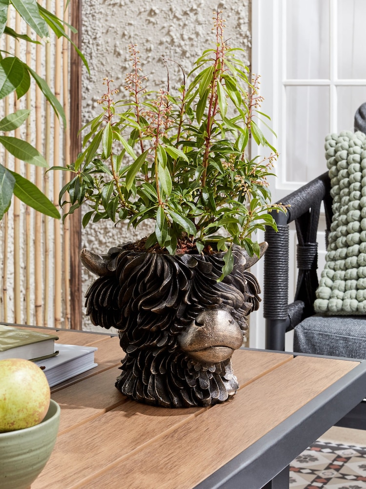 Bronze Outdoor Hamish The Highland Cow Plant Pot - Image 1 of 4