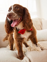 Red Velvet Matching Family Tie - Image 1 of 4