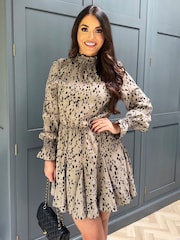 AX Paris Natural Beige Animal Print Long Sleeve Shirred Detail Skater Dress - Image 1 of 5