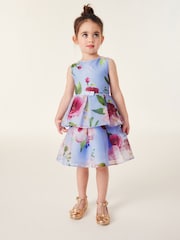 Baker by Ted Baker Floral Striped Dress - Image 1 of 10