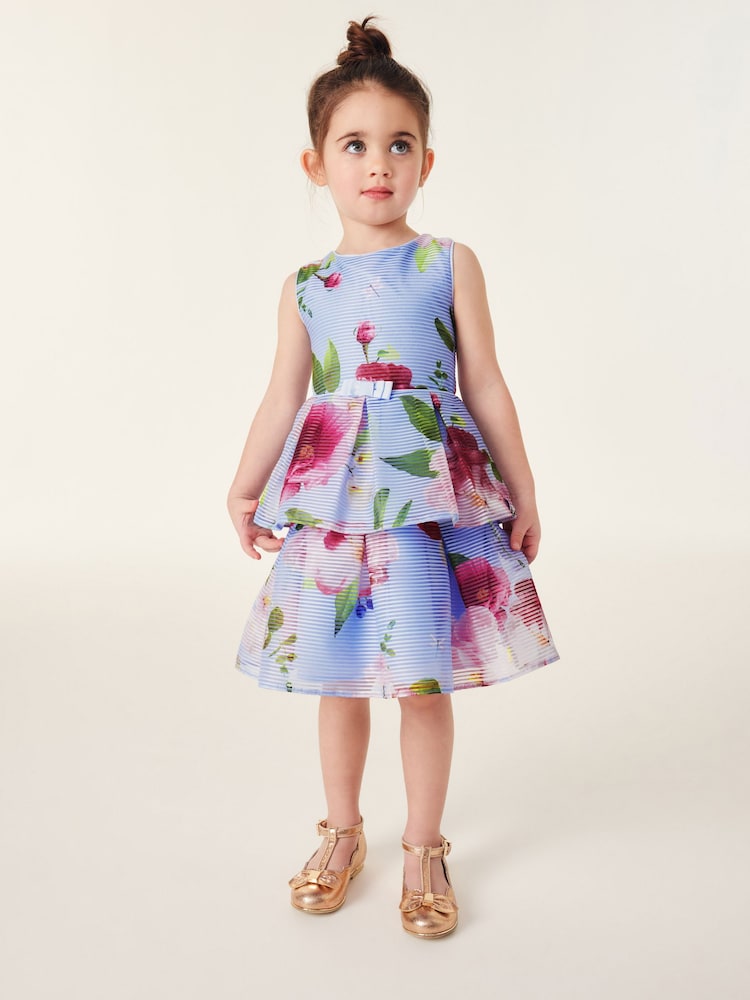 Baker by Ted Baker Floral Striped Dress - Image 1 of 10