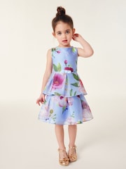 Baker by Ted Baker Floral Striped Dress - Image 2 of 10