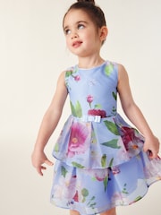 Baker by Ted Baker Floral Striped Dress - Image 4 of 10